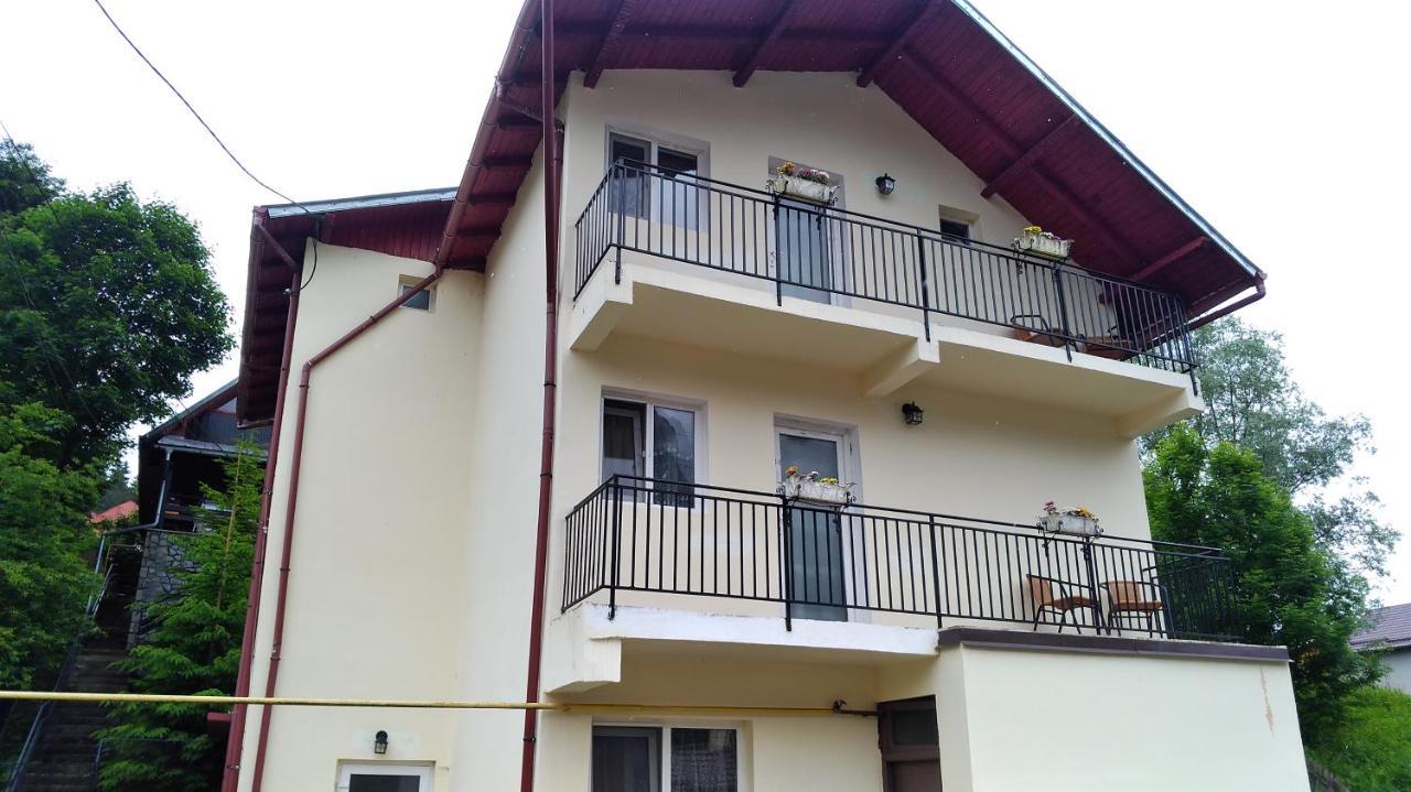 Casa Zura Ξενοδοχείο Buşteni Εξωτερικό φωτογραφία