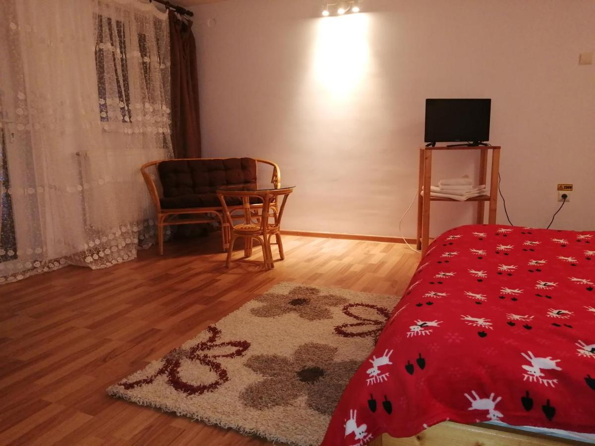 Casa Zura Ξενοδοχείο Buşteni Εξωτερικό φωτογραφία