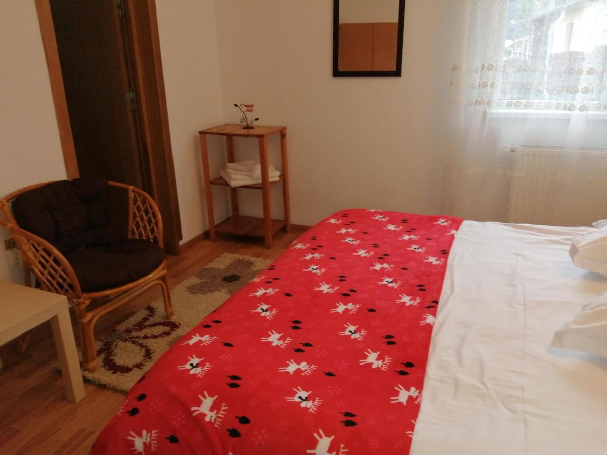 Casa Zura Ξενοδοχείο Buşteni Εξωτερικό φωτογραφία