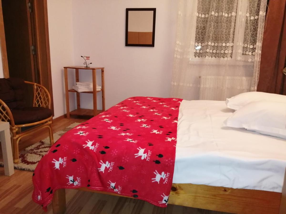 Casa Zura Ξενοδοχείο Buşteni Εξωτερικό φωτογραφία